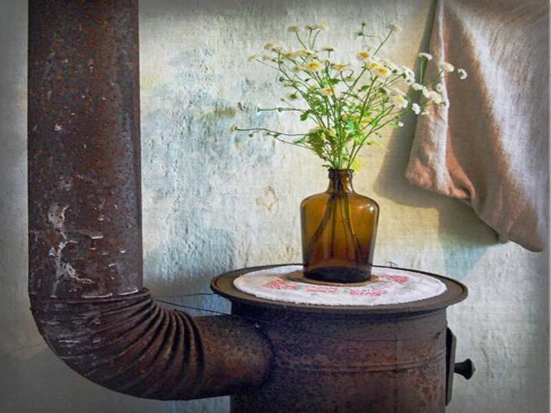 Flowers in a Vase — Brown, Serene, Photograph