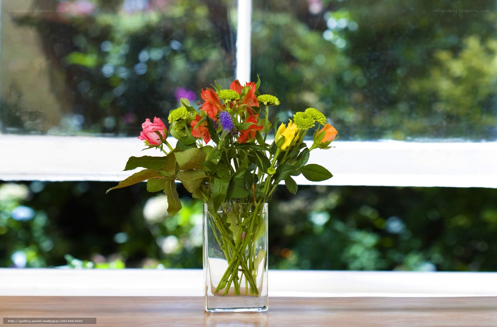 Flowers in a vase by a window