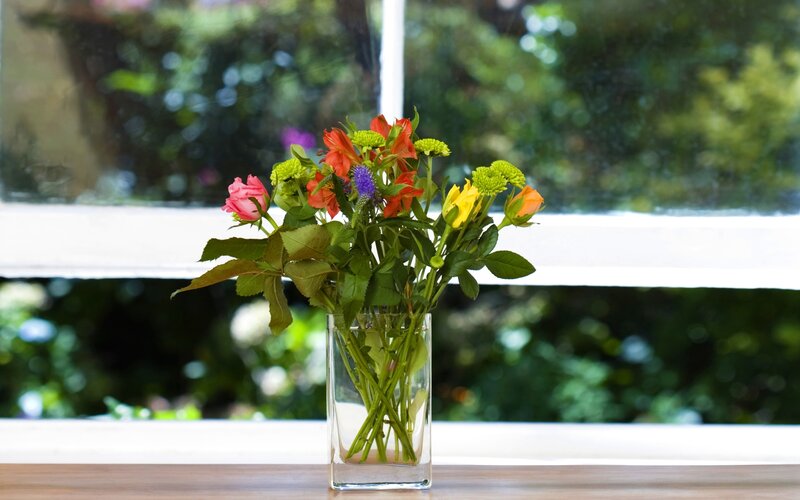 Flowers in a vase by a window