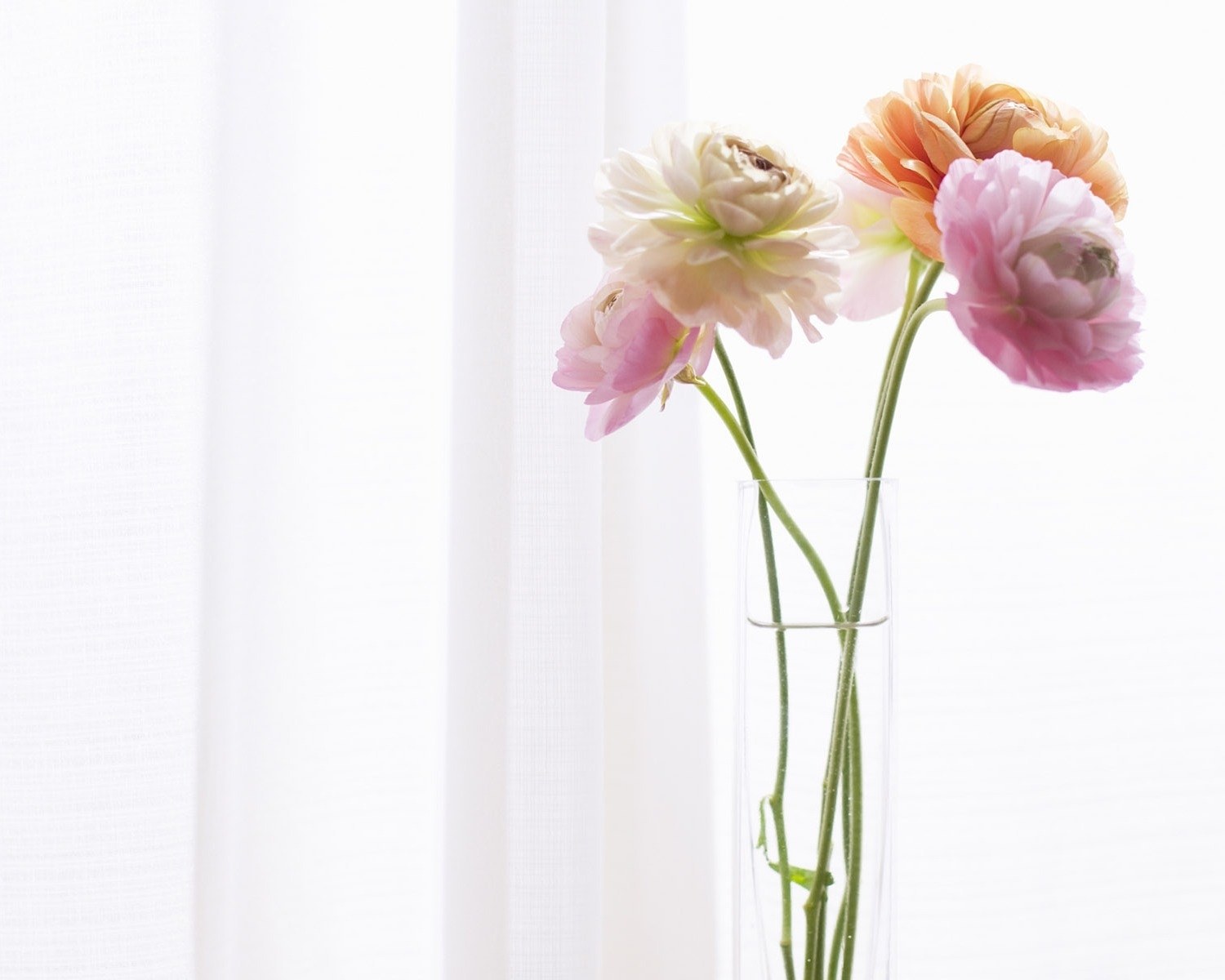 Flowers in a vase by a window