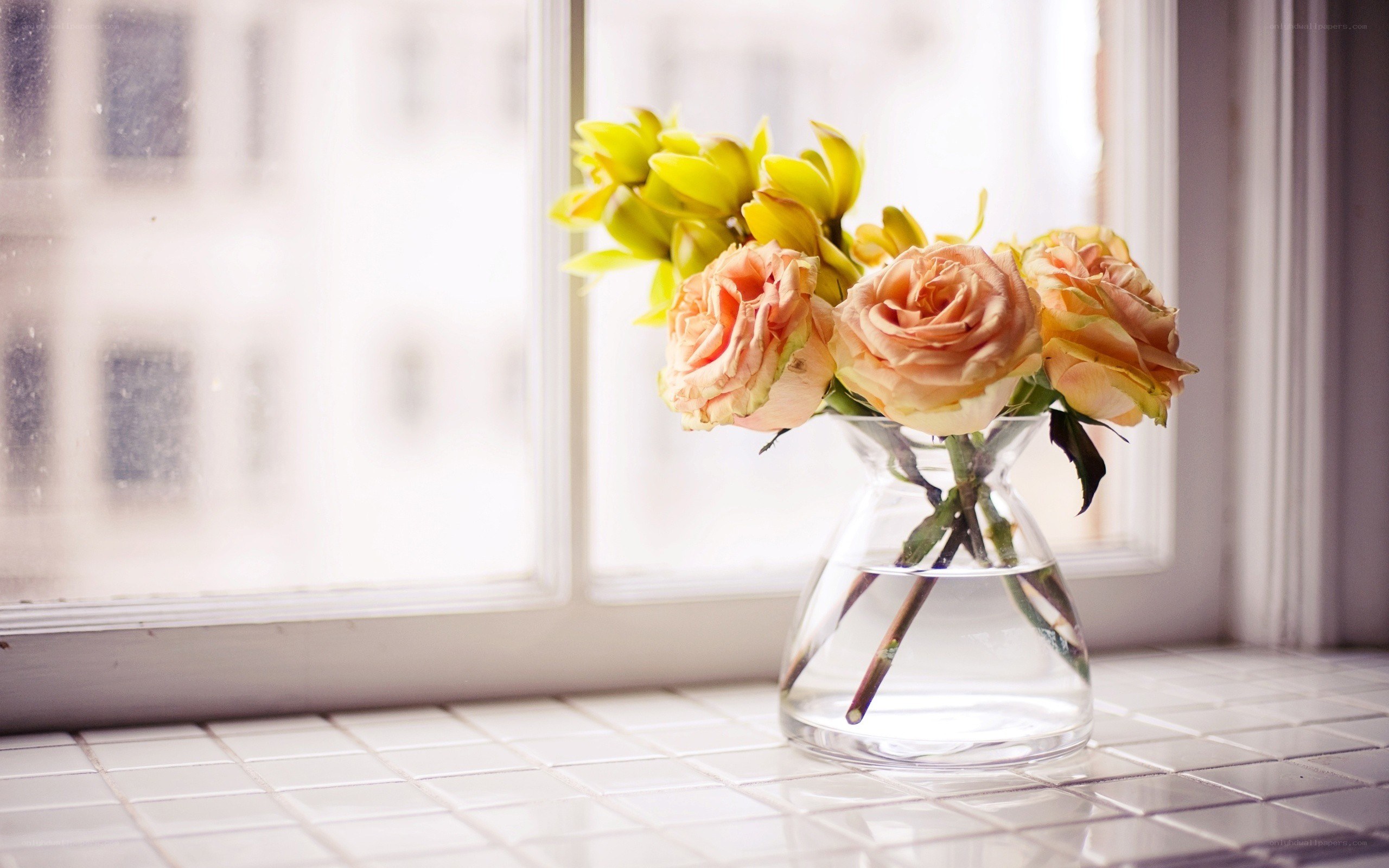 flowers in a vase by window