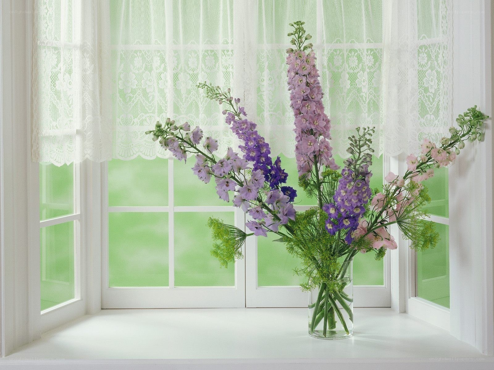 Flowers in a vase by window