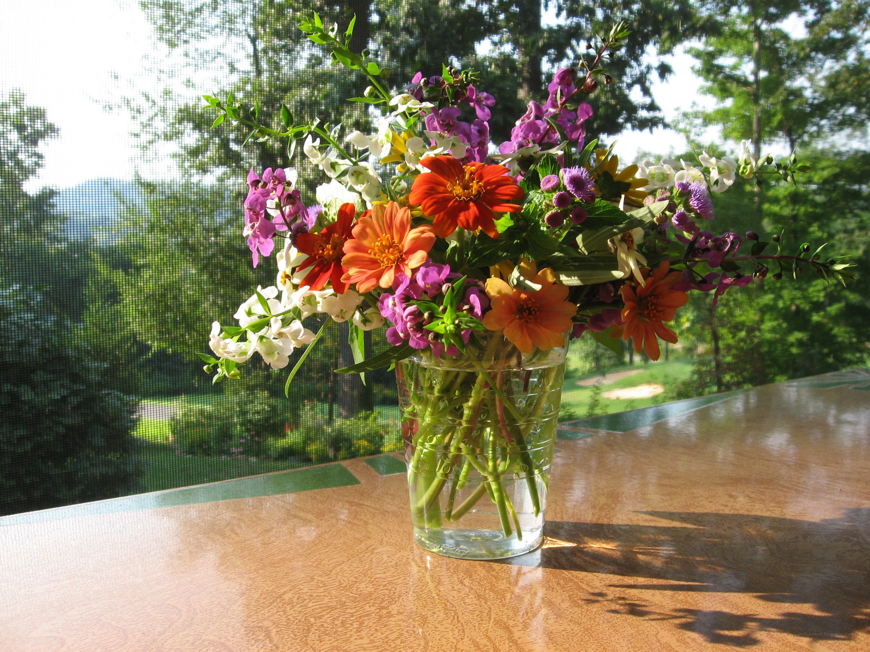 Flowers in a vase on a table