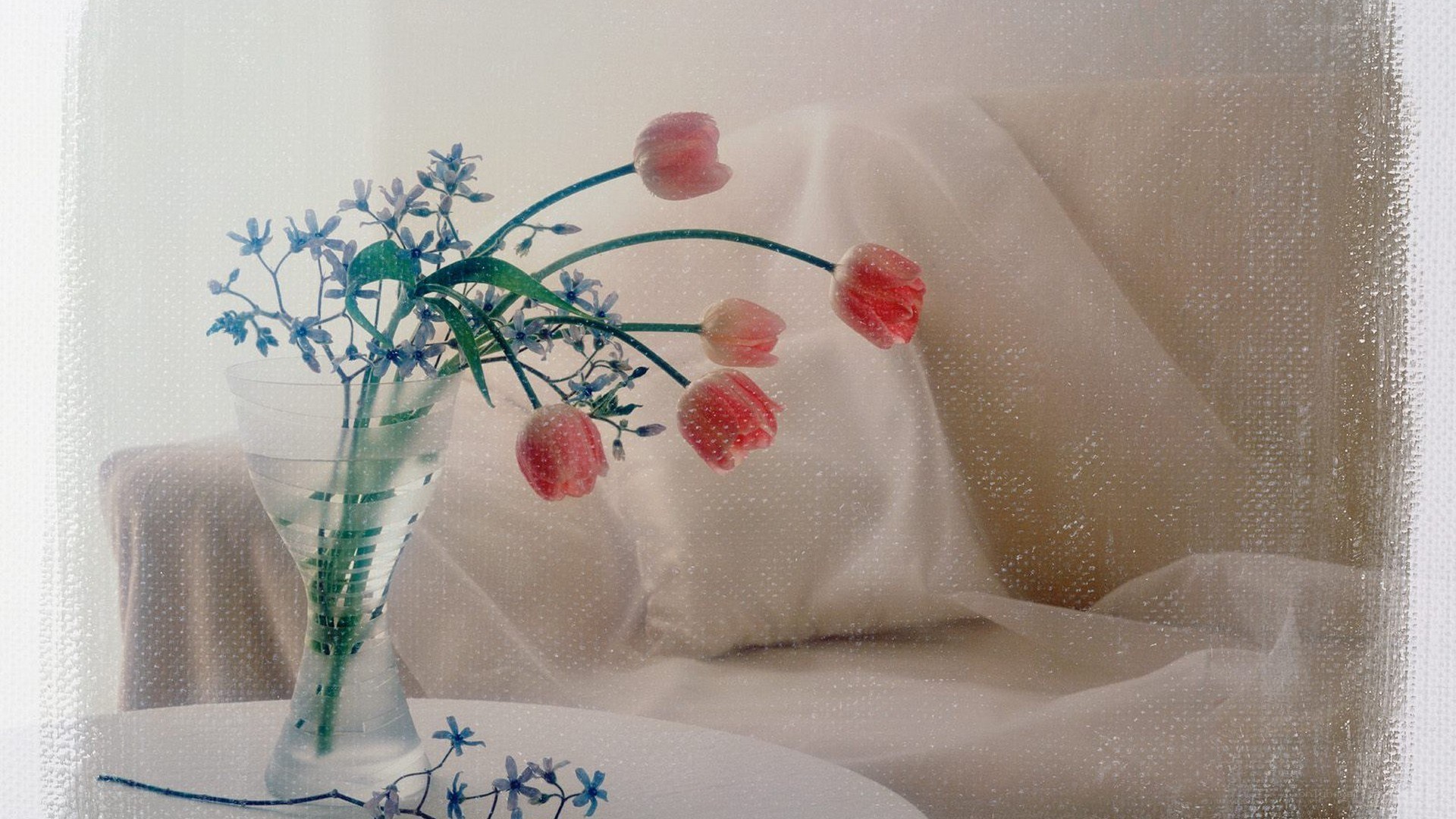 Flowers in a vase on a table