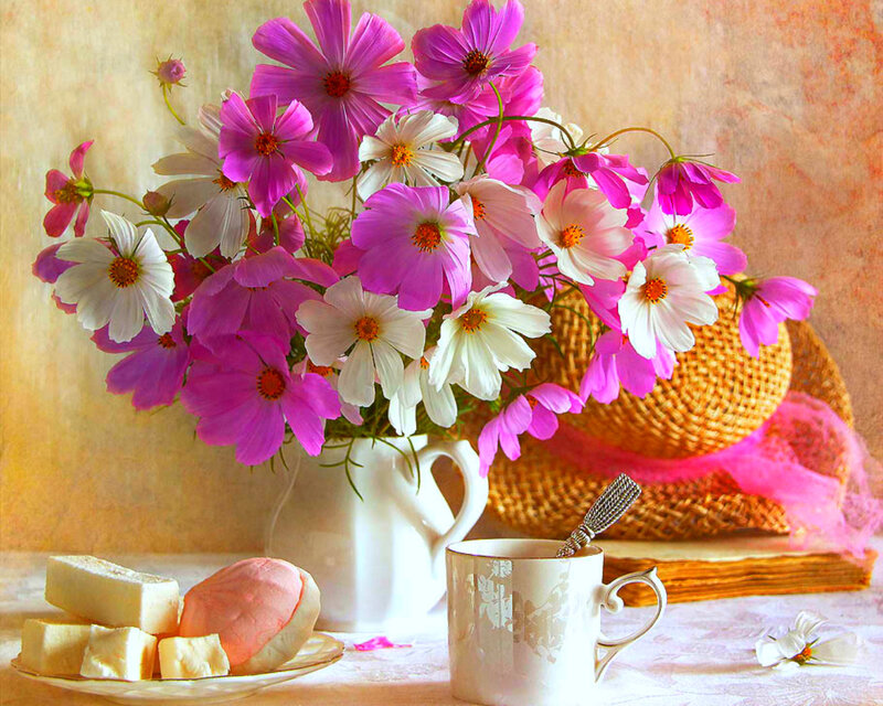 Flowers in a Vase — Pink, Calm, Morning