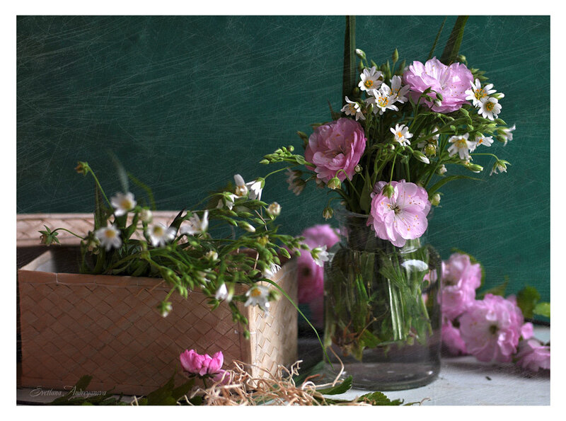 Flowers in a Vase — Pink, Calm