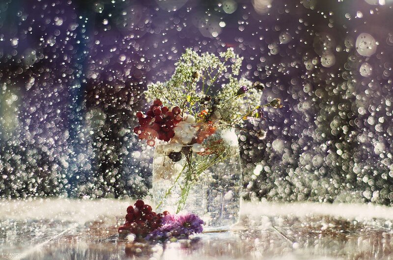 Flowers in a Vase — Purple, Dramatic, Photograph, Berries