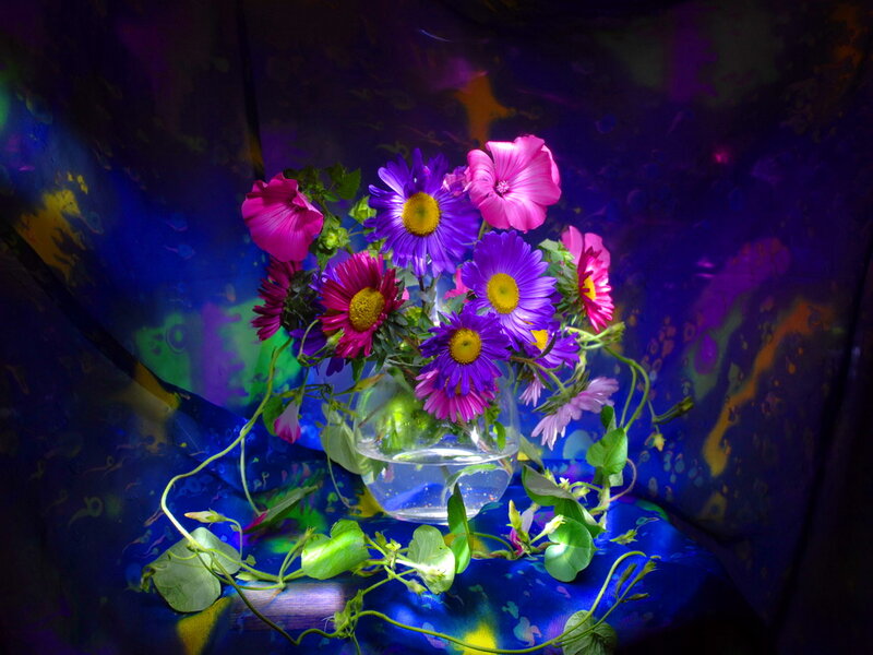 Flowers in a Vase — Purple, Dramatic, Photograph, Leaves