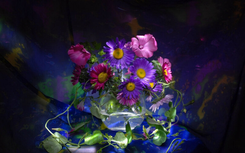 Flowers in a Vase — Purple, Dramatic, Photograph, Tablecloth
