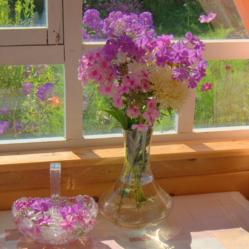 Flowers in a Vase — Purple, Serene, Afternoon, Photograph