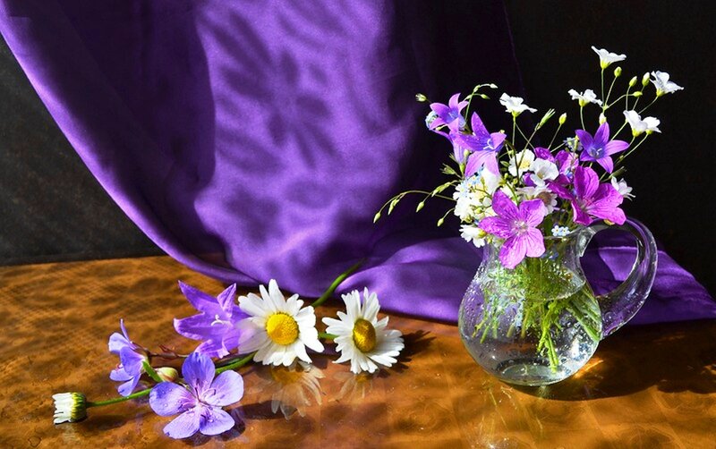 Flowers in a Vase — Purple, Serene, Photograph, Daisies