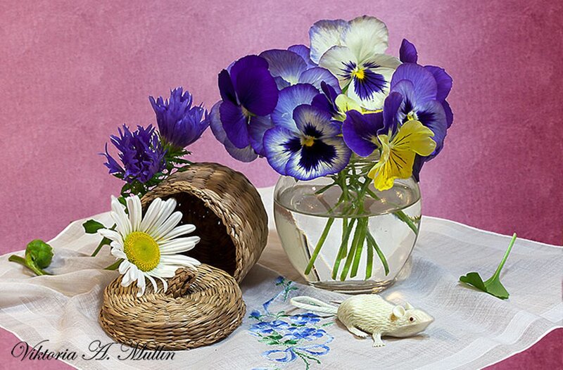Flowers in a Vase — Purple, Serene, Photograph, Daisy
