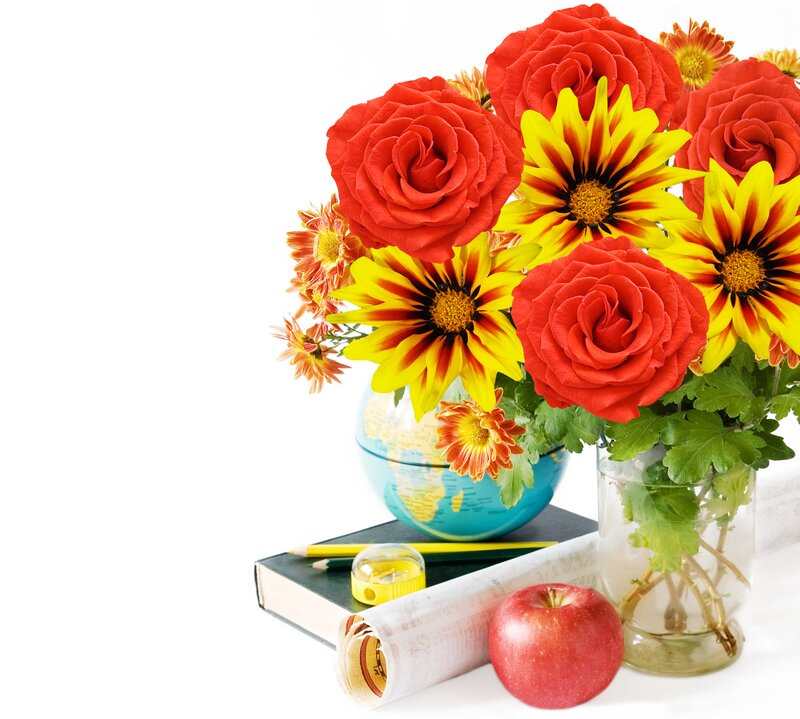 Flowers in a Vase — Red, Calm