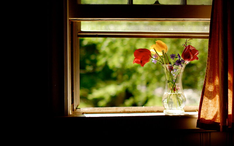 Flowers in a Vase — Red, Serene, Afternoon