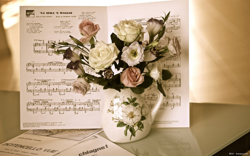 Flowers in a Vase — White, Serene, Afternoon, Photograph, Sheet Music