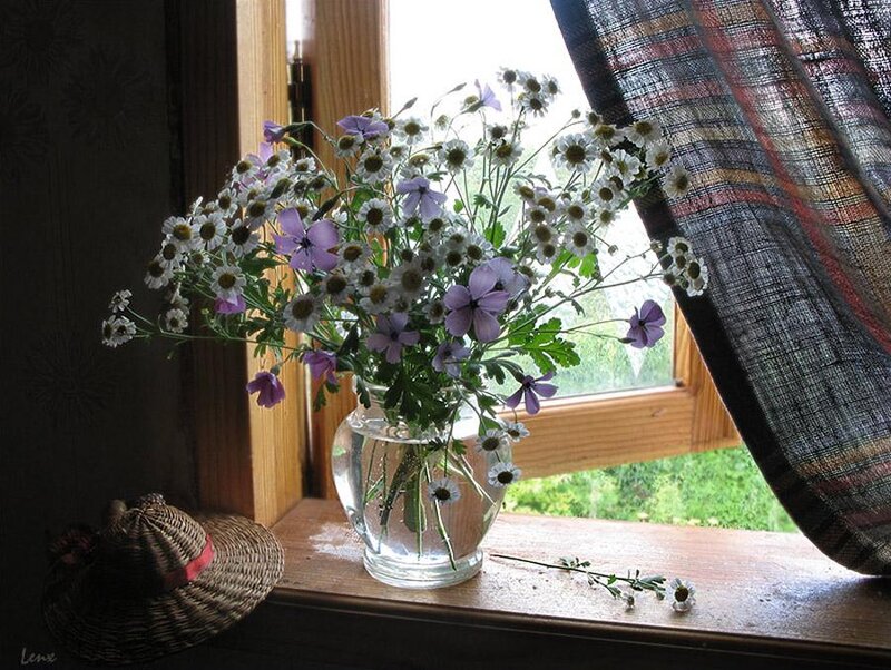 Flowers in a Vase — White, Serene, Afternoon