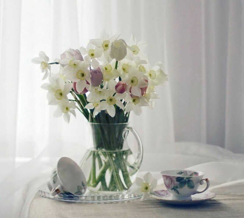 Flowers in a Vase — White, Serene, Morning, Photograph, Teacup