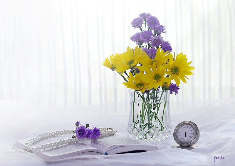 Flowers in a Vase — White, Serene, Morning, Photograph