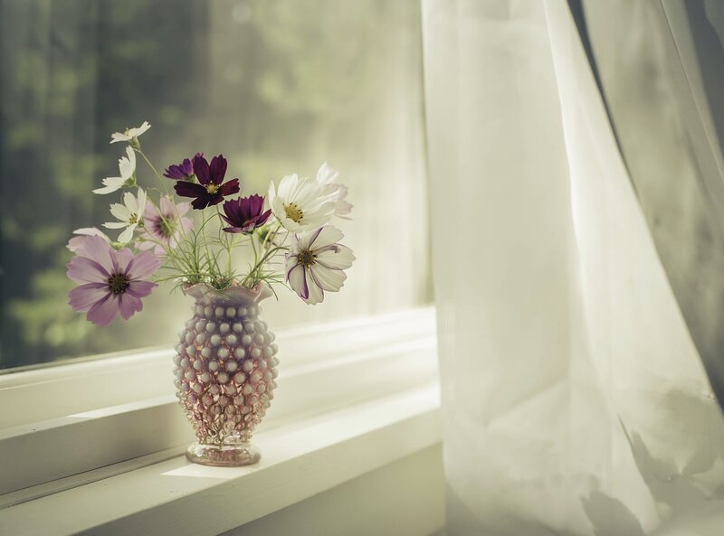 Flowers in a Vase — White, Serene, Morning, Photograph, Window, Curtain