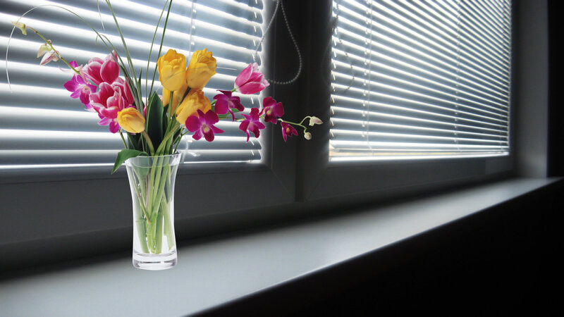 Flowers in a Vase — White, Serene, Morning, Photograph, Window
