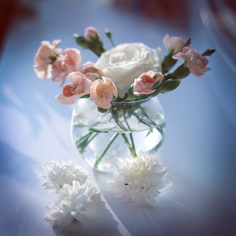 Flowers in a Vase — White, Serene, Morning