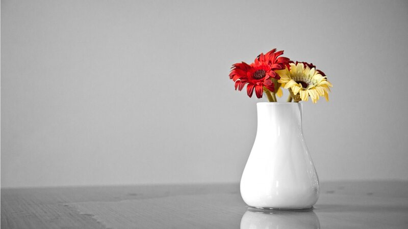 Flowers in a Vase — White, Serene, Photograph