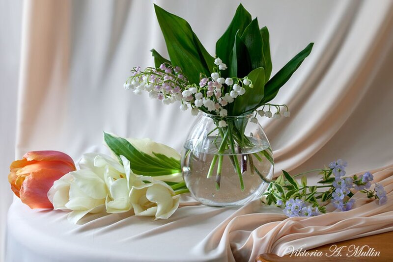 Flowers in a Vase — White, Serene, Spring