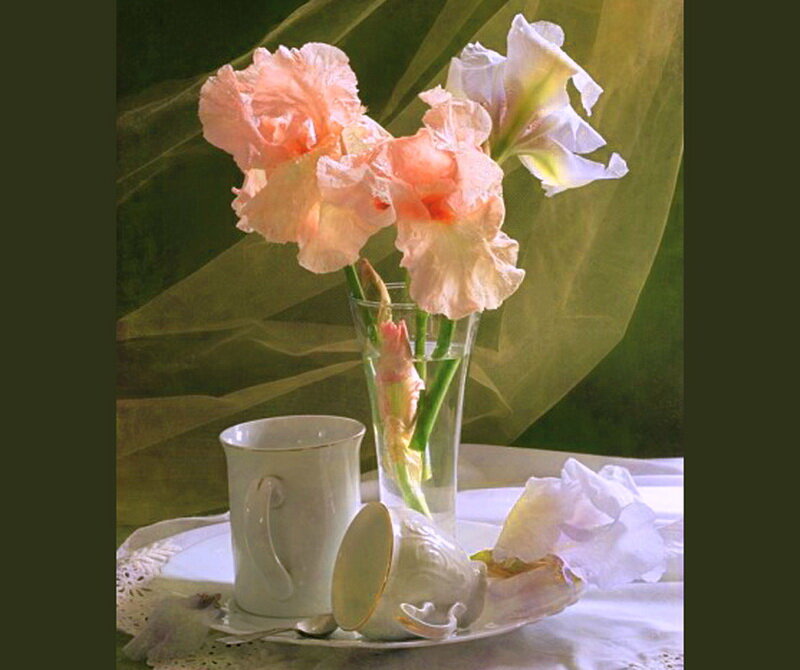 Flowers in a Vase — White, Serene