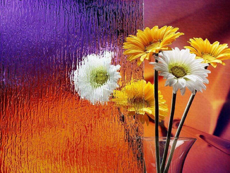Flowers in a vase with colorful background