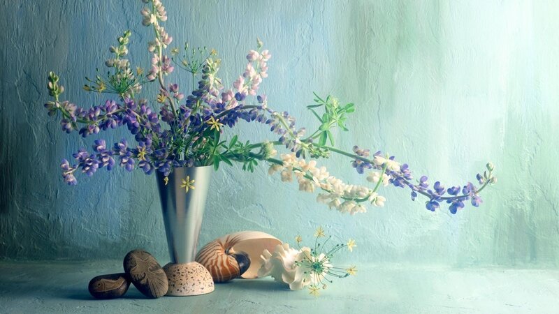 Flowers in a vase with shells