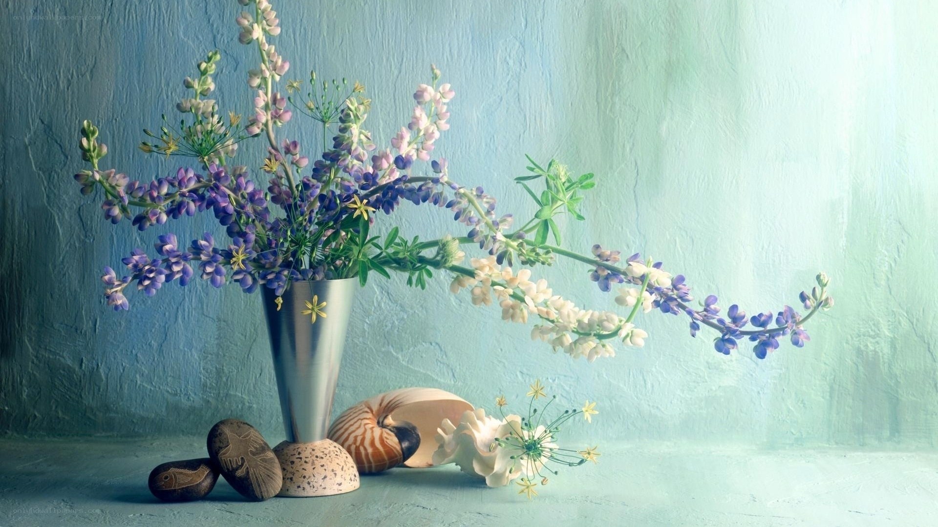 Flowers in a vase with shells