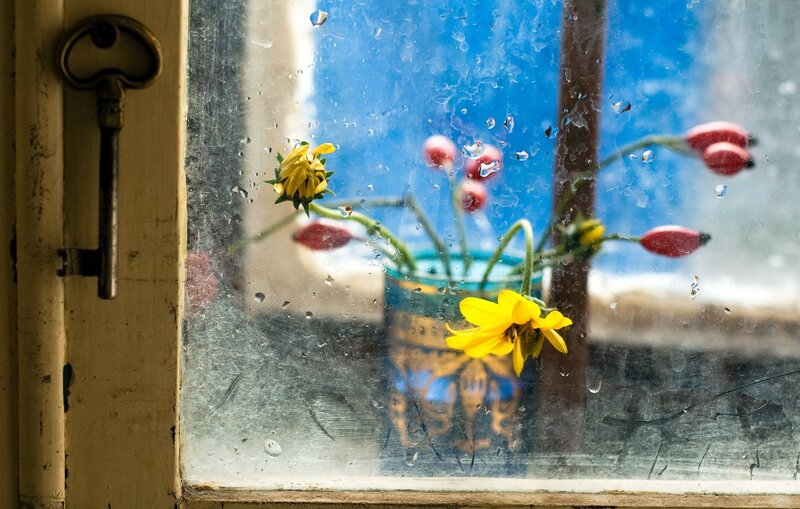 Flowers in a Vase — Yellow, Calm, Photograph