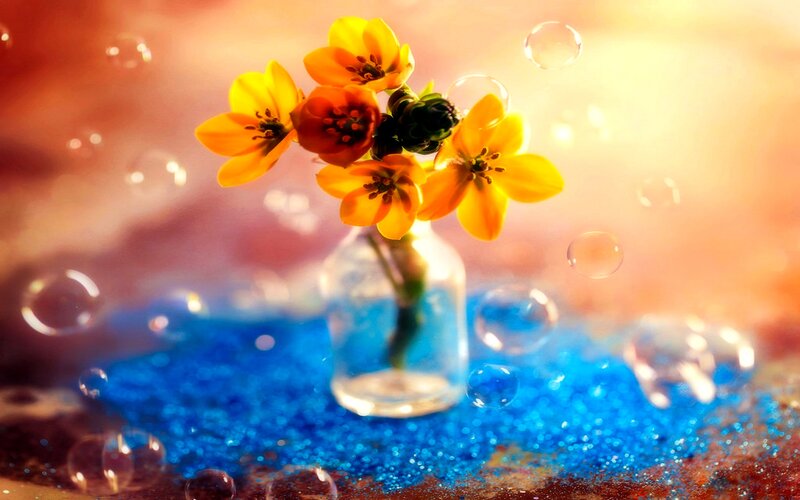 Flowers in a Vase — Yellow, Dreamy