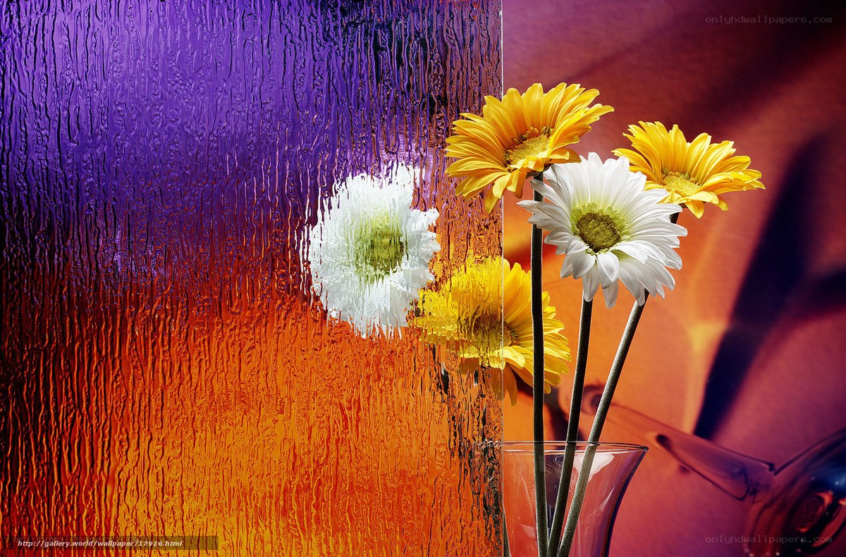 Flowers in a Vase