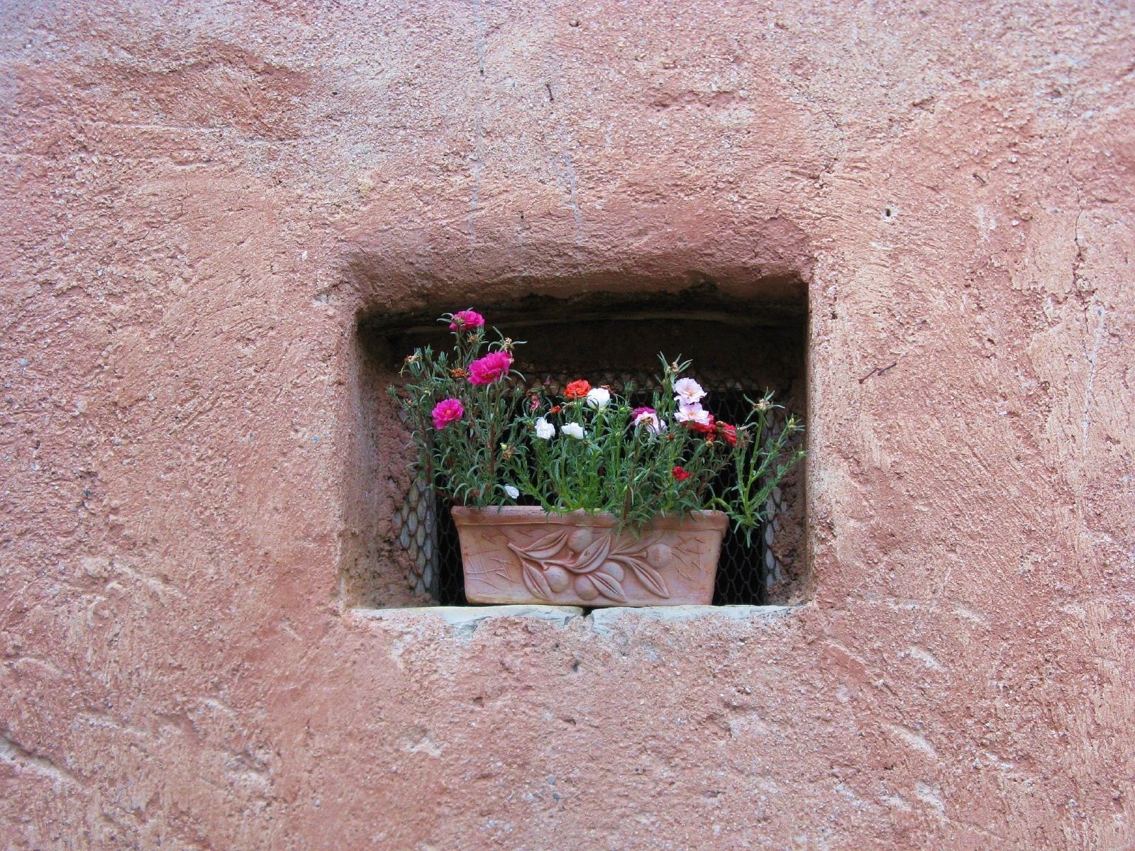 Flowers in a wall niche