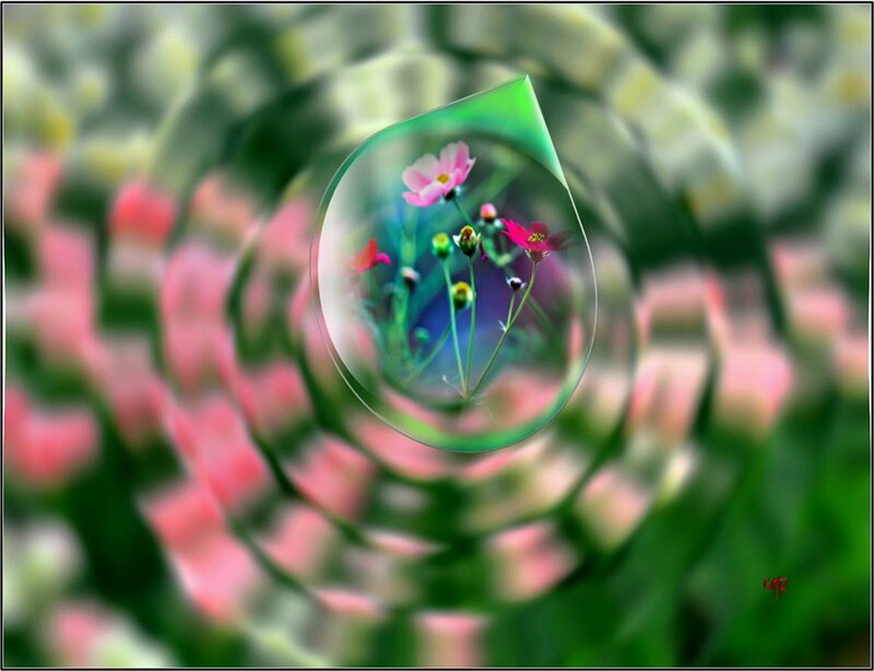 Flowers in a Water Droplet