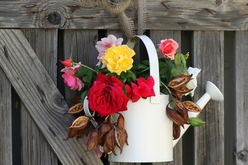 Flowers in a watering can
