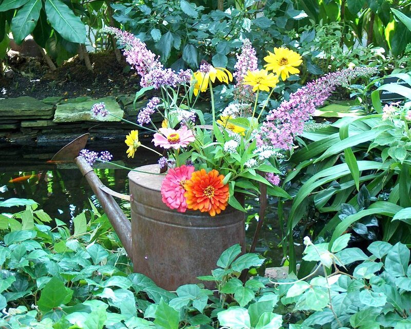 Flowers in a watering can