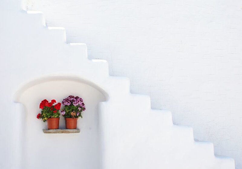 Flowers in a white alcove