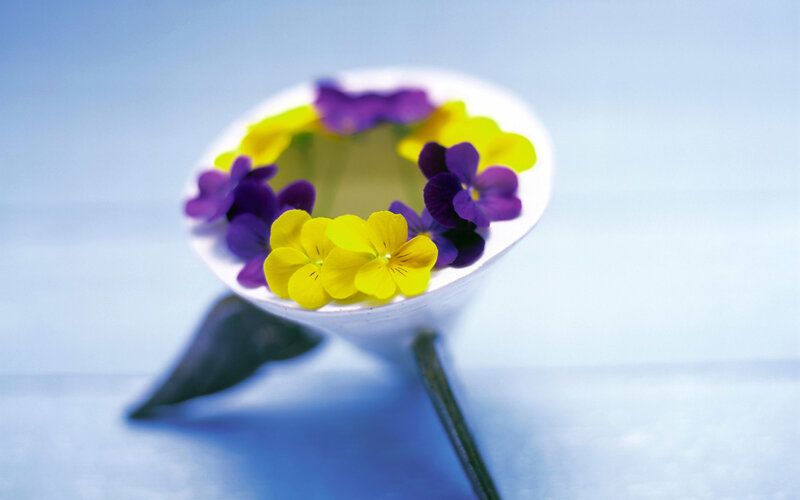 Flowers in a white bowl