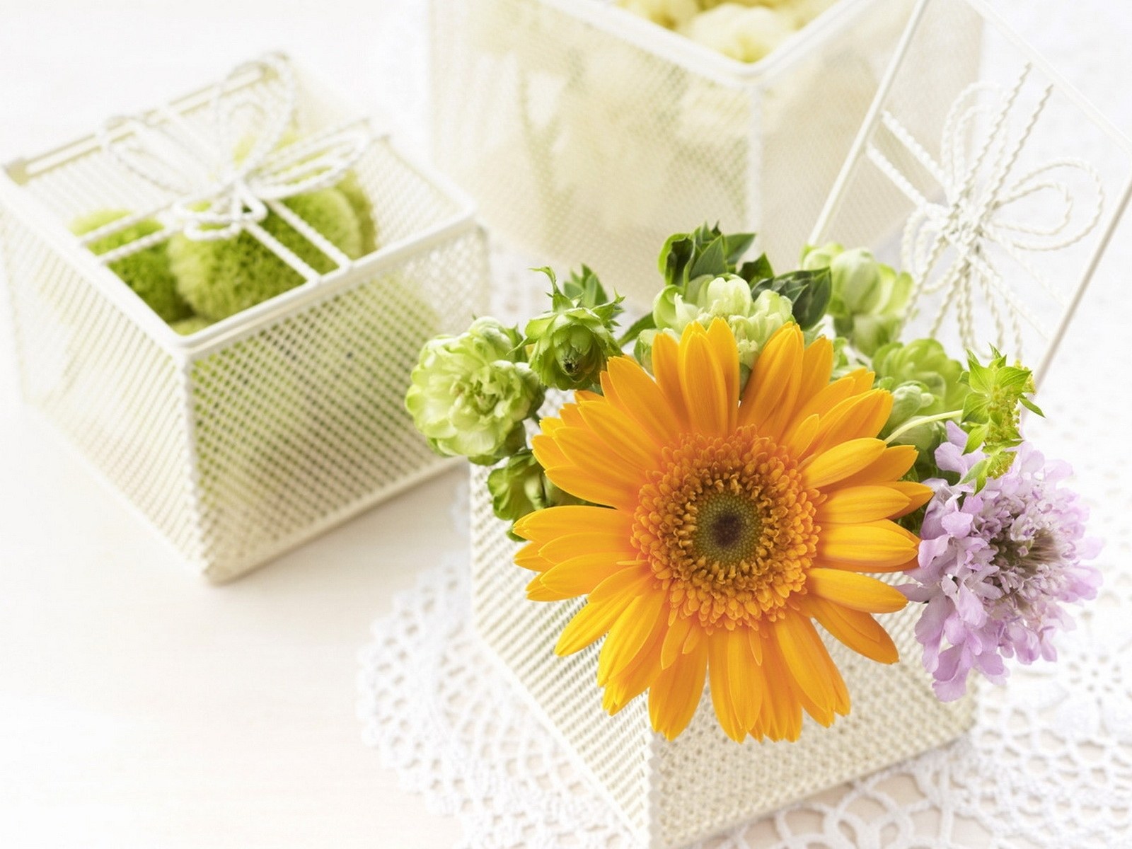 Flowers in a white box