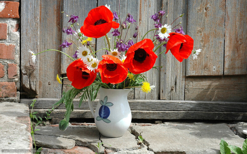 Flowers in a white jug