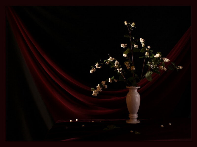 Flowers in a white vase