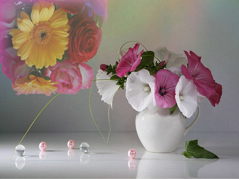 Flowers in a White Vase — Serene