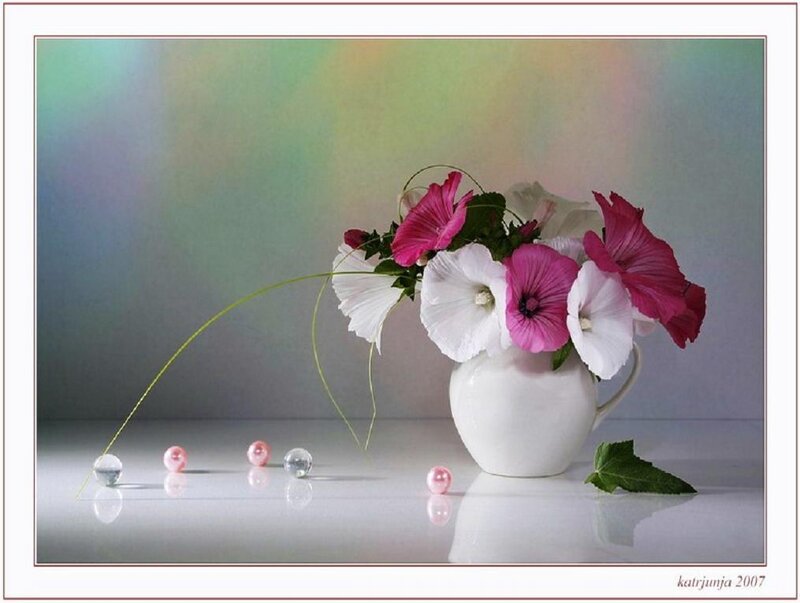 Flowers in a white vase