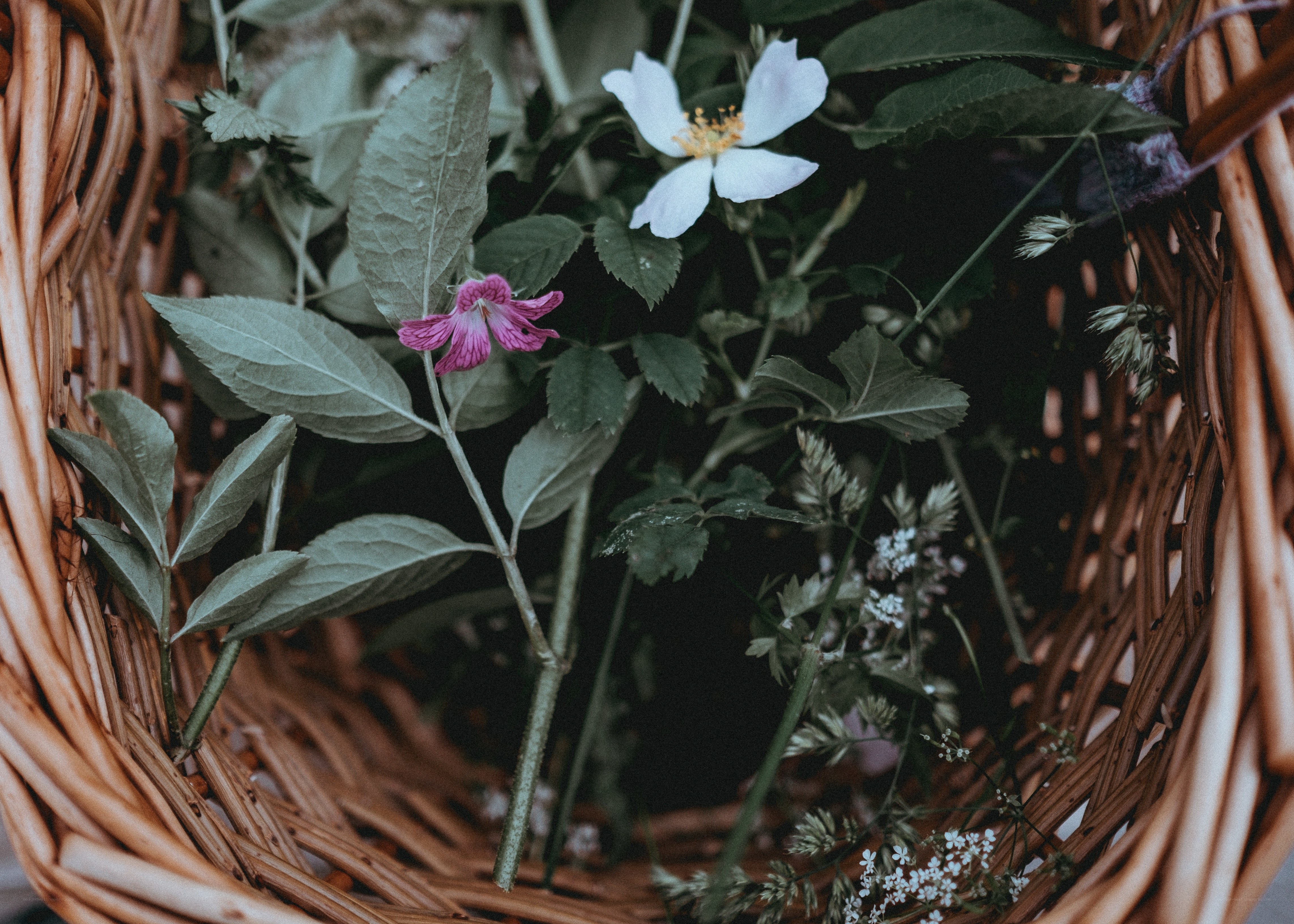 Flowers in a wicker basket