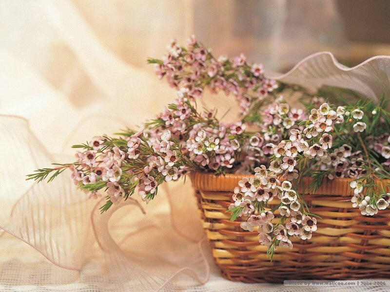 Flowers in a wicker basket