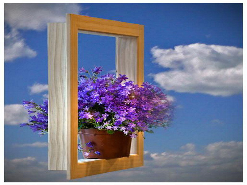 Flowers in a window frame