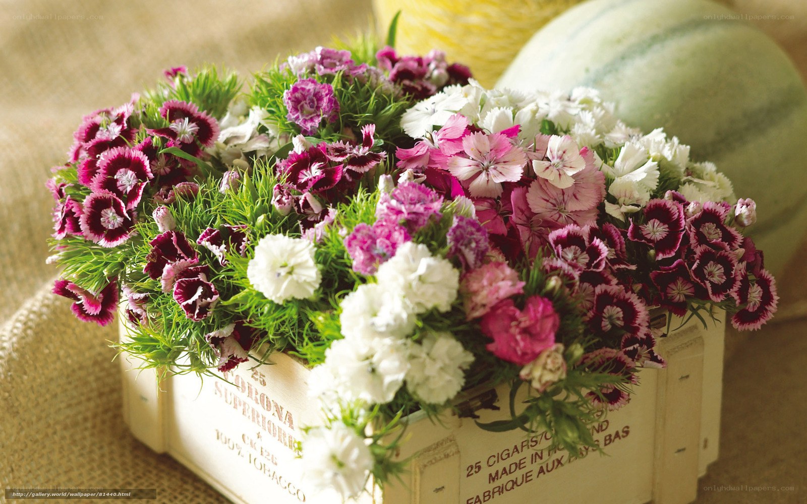 Flowers in a wooden crate