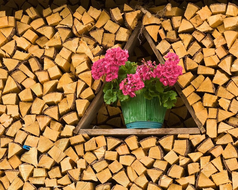 Flowers in a woodpile